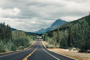 道路