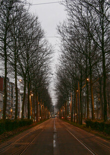 公路景观