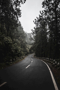 道路
