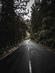 道路