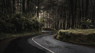 道路