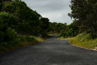 公路景观