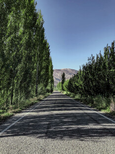 道路