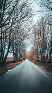 道路