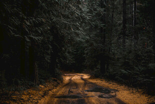公路