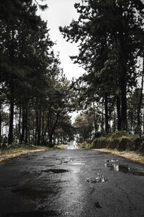 公路景观