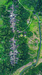 道路