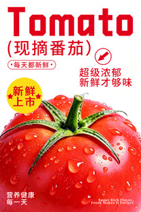 现摘番茄生鲜果蔬海报 新鲜西红