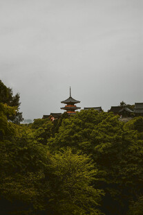 林间日式古塔远景