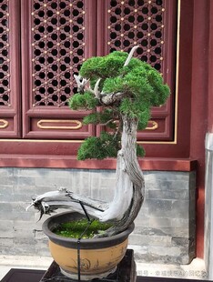 宇宙苍穹