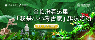 小小考古家趣味活动宣传