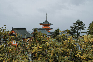 秋日日式古寺远景