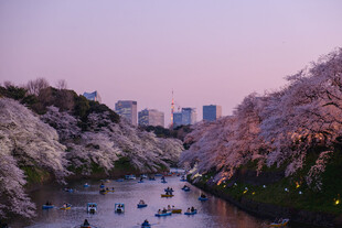 暮色山谷湖景风光