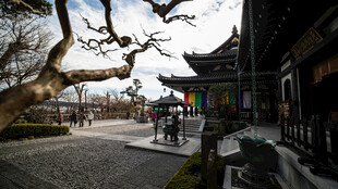 古寺庭院风光