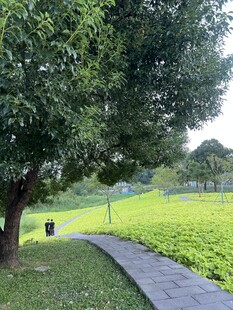 夏日公园步道