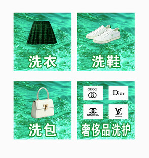 洗护服务项目分类