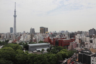 东京晴空塔城市全景