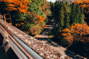 秋日山林公路桥风光