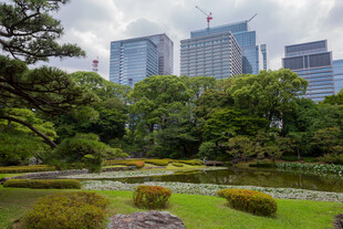 城市园林远眺摩天楼