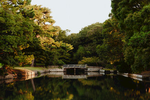湖畔林间步道美景