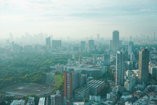 薄雾笼罩城市远景