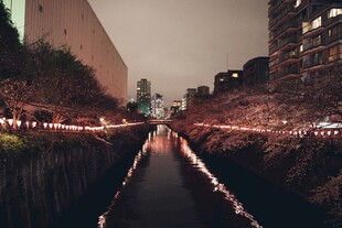 城市河道夜景