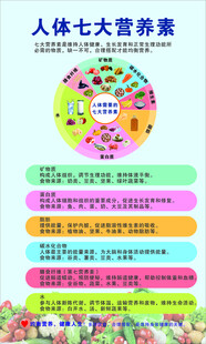 人体七大营养素