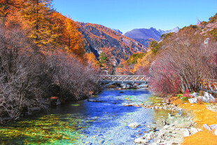 秋日山涧溪流风光