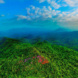 青山林海自然风光