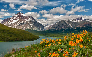 高原雪山湖畔花海美景