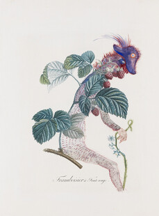 奇幻植物拟人手绘插画