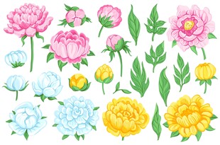 手绘花卉素材