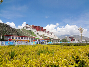 高原藏式建筑风光