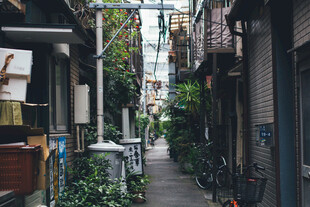 老城文艺小巷街景