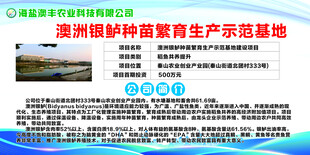 澳洲银鲈种苗繁育生产示范基地