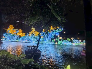 越秀公园夜间景色摄影