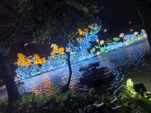 越秀公园春节夜景摄影