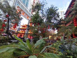 广州六榕寺中式喜庆园林景观