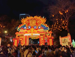 新春灯会热闹夜景