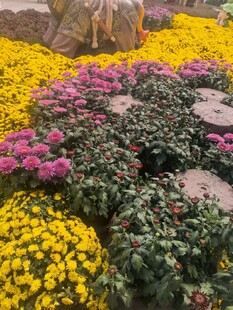 园林创意花坛景观