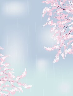 樱花雨背景
