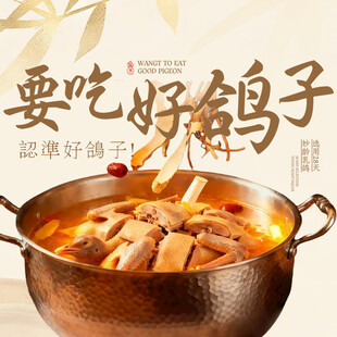 养生鸽子头像入口图