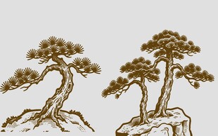 国风古松手绘插画