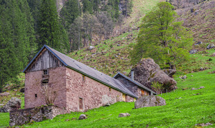 山野石屋田园风光