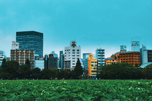 城市天际线绿地景观