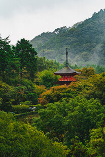 山林掩映日式古塔