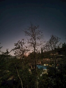 黄昏郊野朦胧树景