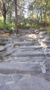 林间光影小路