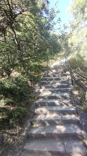 林间石阶步道风光
