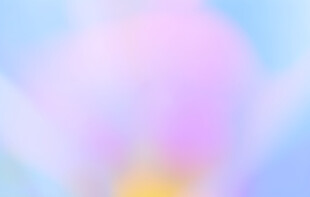 梦幻马卡龙渐变背景